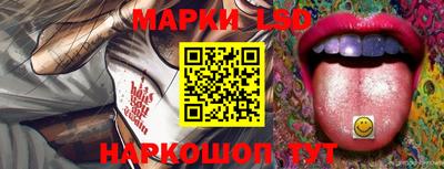 шишки Бердск