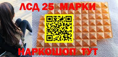 шишки Бердск