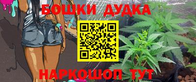 шишки Бердск