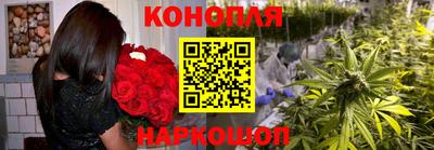 шишки Бердск