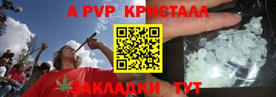 шишки Бердск