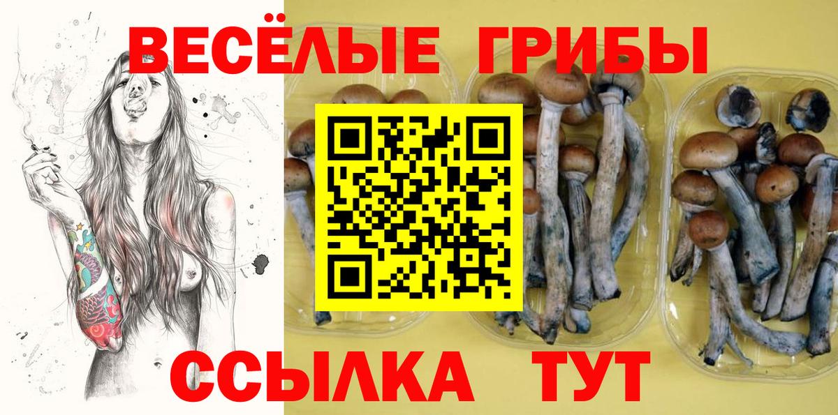закладка  Псилоцибиновые грибы Psilocybine cubensis  Вход с VPN  Уссурийск 